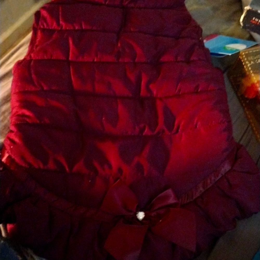 Dogs pretty red jacket